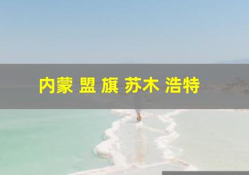 内蒙 盟 旗 苏木 浩特